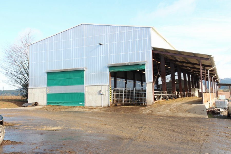 Barn for dairy cows + maternity pens- Arnolec