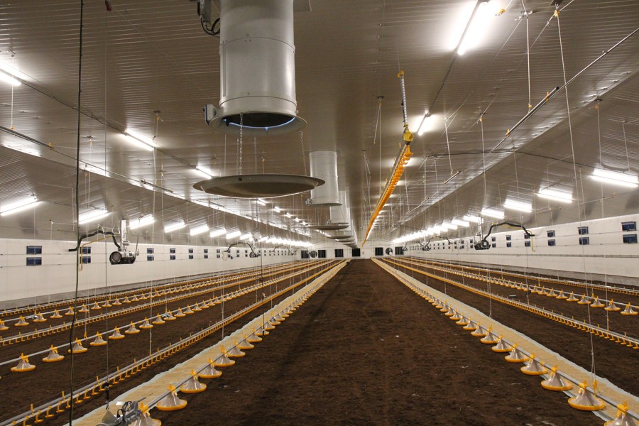 Fattening stable for broilers chickens Lažánky