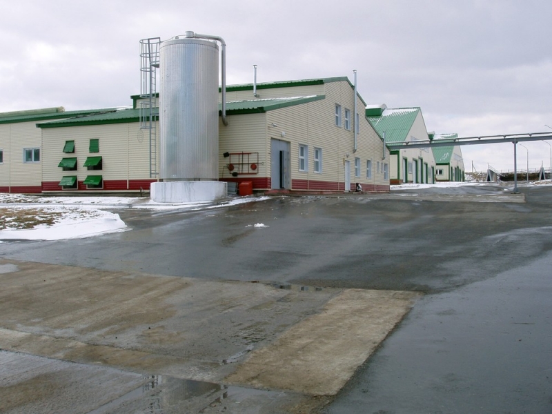 Herringbone milking parlour Uralsk