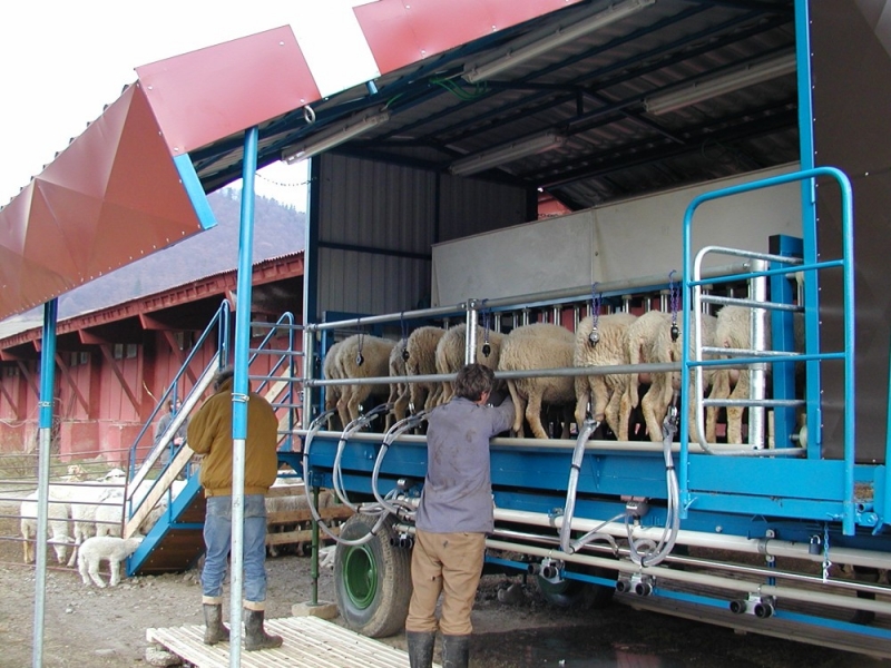 Mobile milking parlour for sheep- Párnica