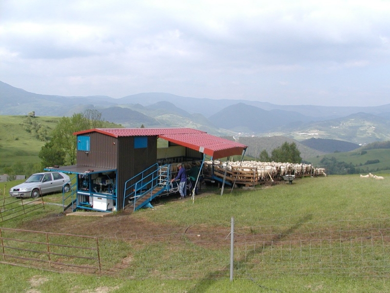 Мобильный доильный зал для овец - Парница