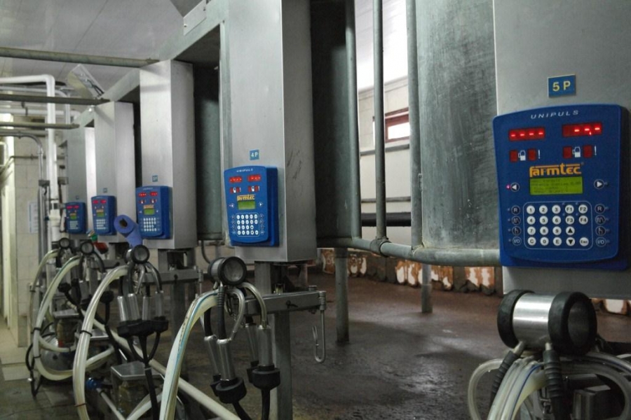 Modernization of milking parlour