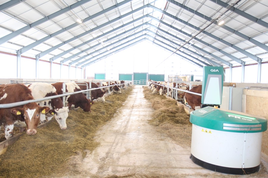 Robotic Dairy Farm Nový Dvůr