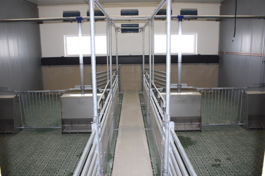 Sows calving facility with piglets breeding - Říčany