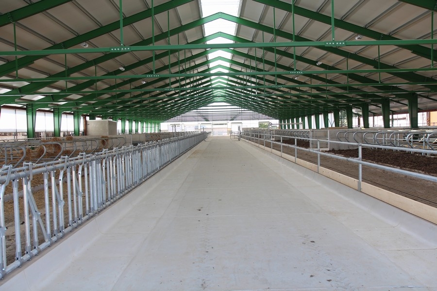 Stables For Dairy Cattle and Milking Parlor Polnička